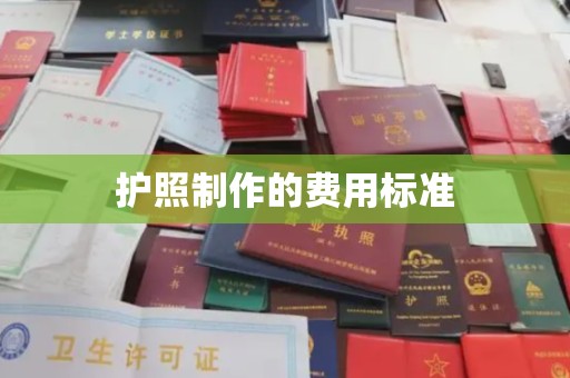 满城护照制作的费用标准