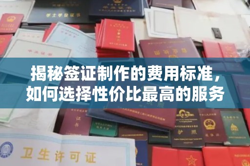 满城揭秘签证制作的费用标准，如何选择性价比最高的服务？